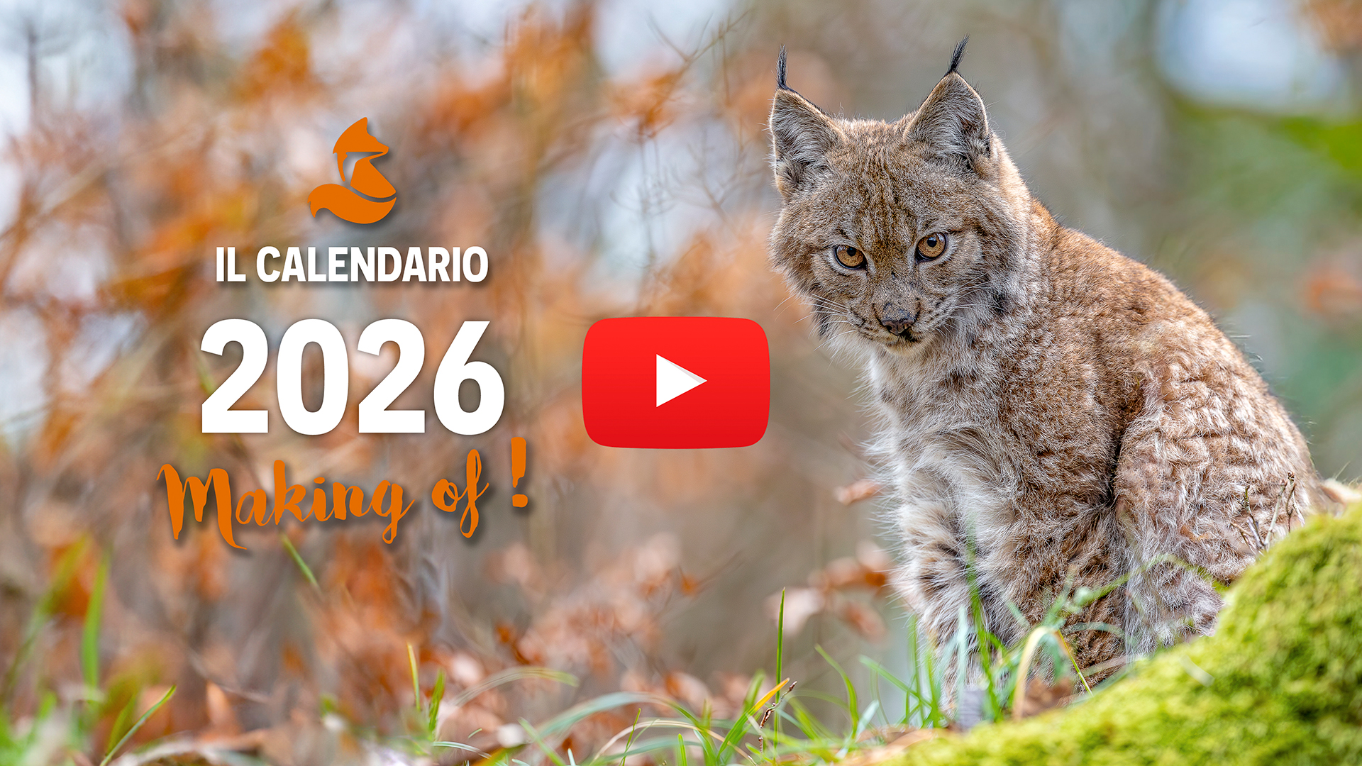 Calendario fotografico 2026 – Il making of!